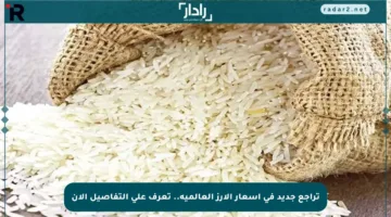 تراجع جديد في أسعار الأرز العالمية.. تعرف على التفاصيل الآن